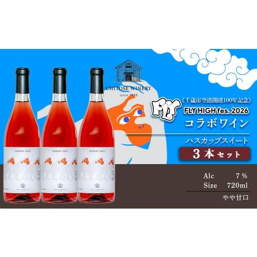 ふるさと納税 ワイン セット 北海道 千歳市 数量限定 限定ラベル ハスカップスイート 720ml×3本セット 箱なし