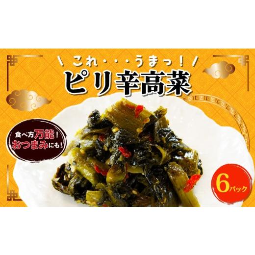 ふるさと納税 惣菜・レトルト 新潟県 新発田市 万能常備菜 ピリ辛高菜 6パック 中華 惣菜 高菜 おかず 惣菜 おつまみ おやつ ごはんのおとも ごはん おにぎり…