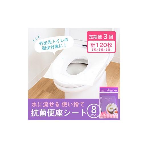 ふるさと納税 雑貨・日用品 和歌山県 海南市 [定期便 全3回・2か月に1回発送]ポケぴた 8枚入×5袋 使い捨て 便座シート 抗菌 携帯用 旅行 日本製