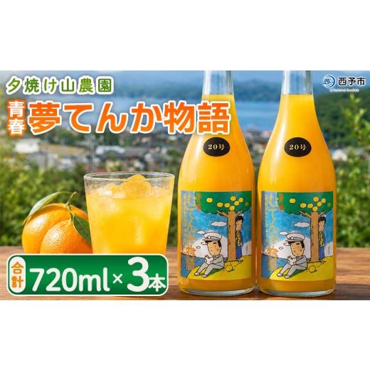 ふるさと納税 果汁飲料 みかん 愛媛県 西予市 青春 夢てんか物語 合計3本 『1か月以内に順次出荷予定』 ジュース みかんジュース 温州みかん うんしゅうみか…