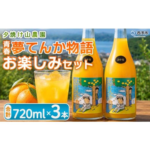 ふるさと納税 果汁飲料 みかん 愛媛県 西予市 青春 夢てんか物語 お楽しみセット 3本 『1か月以内に順次出荷予定』ジュース みかんジュース 温州みかん うん…