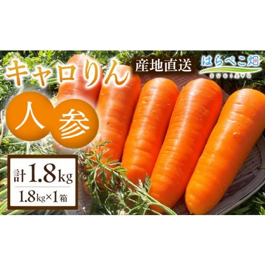 ふるさと納税 野菜類 人参 愛知県 西尾市 人参『キャロりん』(1.8kg×1箱)・H105 1箱(1.8kg)/6,000円