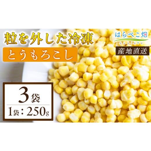 ふるさと納税 とうもろこし 愛知県 西尾市 粒を外した冷凍とうもろこし(250g×3袋)・H092 3袋/9,000円
