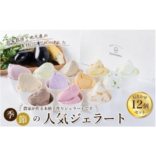 ふるさと納税 アイス・ヨーグルト ジェラート 和歌山県 紀美野町 ジェラート セット 12個 10月発送 21000円 / キミノ—カ アイス クリーム スイーツ 野菜 果…