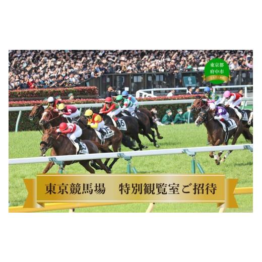 ふるさと納税 イベントやチケット等 東京都 府中市 東京競馬場 10月11日(日)特別観覧室(1組4名様) アイルランドT・GII ご招待