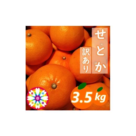 ふるさと納税 みかん・柑橘類 愛媛県 八幡浜市 先行受付 愛咲果樹園「せとか」訳あり約3.5kg 71-43