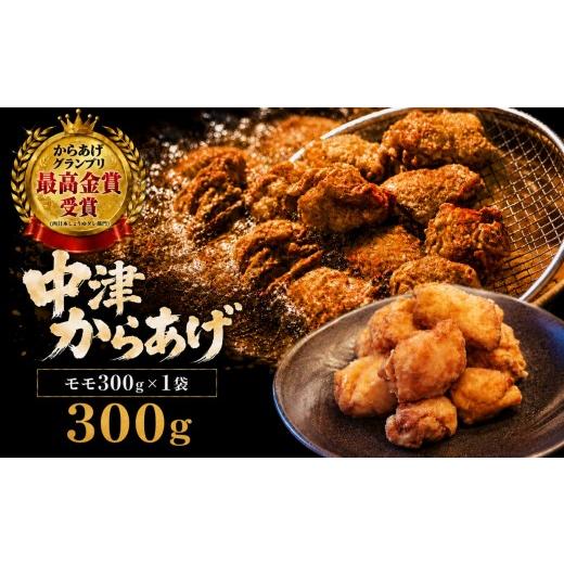 ふるさと納税 鶏肉 唐揚げ 大分県 中津市 冷凍・レンジ調理 九州産若鶏のからあげ もも肉 300g ( 約8個入 ) | 調理済み 中津からあげ 唐揚げ からあげ から揚…