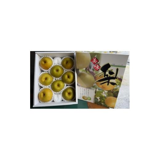ふるさと納税 梨 鳥取県 伯耆町 新甘泉 約2.2kg 1747518