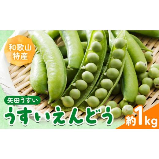 ふるさと納税 果物類 みかん 和歌山県 日高川町 うすいえんどう 約1kg うえやまファーム[2027年4月上旬-5月下旬頃出荷]和歌山県 日高川町 旬 新鮮 豆 矢田う…