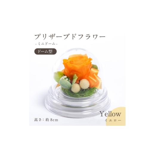 ふるさと納税 雑貨・日用品 花 岐阜県 羽島市 プリザーブドフラワー ドーム型アレンジ ミニドーム(イエロー) 1747396