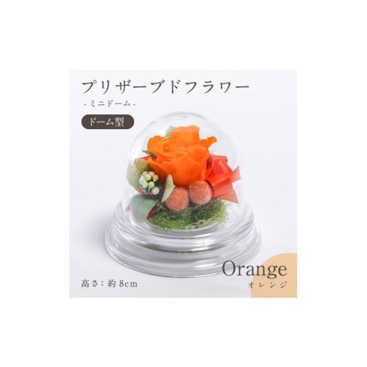 ふるさと納税 雑貨・日用品 花 岐阜県 羽島市 プリザーブドフラワー ドーム型アレンジ ミニドーム(オレンジ) 1747795