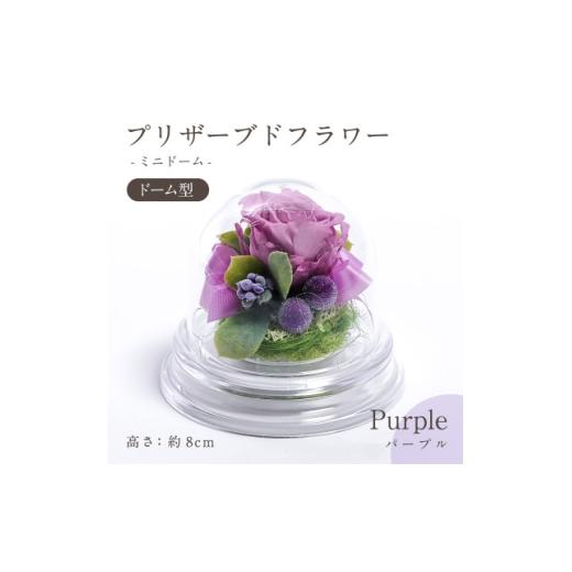 ふるさと納税 雑貨・日用品 花 岐阜県 羽島市 プリザーブドフラワー ドーム型アレンジ ミニドーム(パープル) 1747835