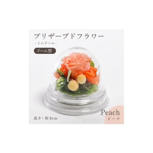 ふるさと納税 雑貨・日用品 花 岐阜県 羽島市 プリザーブドフラワー ドーム型アレンジ ミニドーム(ピーチ) 1747859