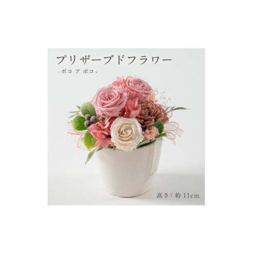 ふるさと納税 雑貨・日用品 花 岐阜県 羽島市 プリザーブドフラワーアレンジ ポコ ア ポコ(ナチュラルピンク) 1747985