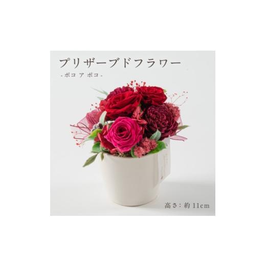 ふるさと納税 雑貨・日用品 花 岐阜県 羽島市 プリザーブドフラワーアレンジ ポコ ア ポコ(フランボワーズ) 1748005