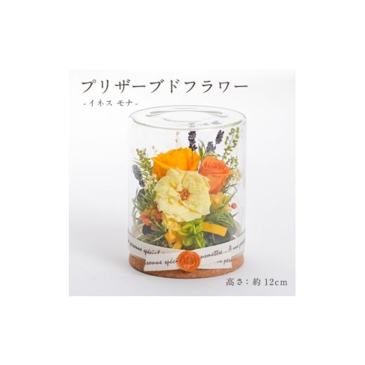 ふるさと納税 雑貨・日用品 花 岐阜県 羽島市 プリザーブドフラワー ガラスケース入りアレンジ イネス モナ(イエロー) 1748243