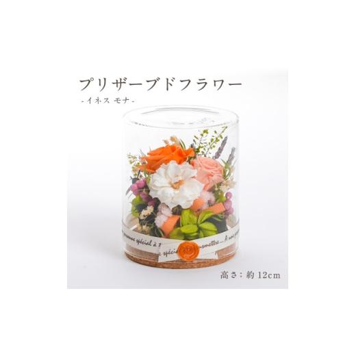 ふるさと納税 雑貨・日用品 花 岐阜県 羽島市 プリザーブドフラワー ガラスケース入りアレンジ イネス モナ(オレンジ) 1748558