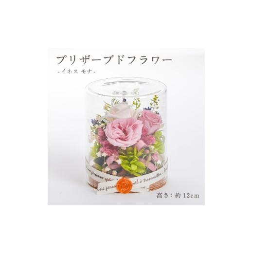 ふるさと納税 雑貨・日用品 花 岐阜県 羽島市 プリザーブドフラワー ガラスケース入りアレンジ イネス モナ(ミルキーピンク) 1748572