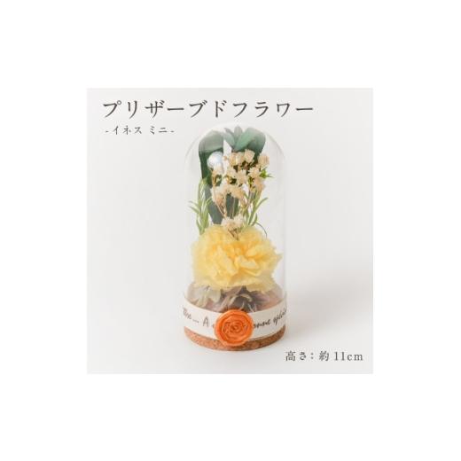 ふるさと納税 雑貨・日用品 花 岐阜県 羽島市 プリザーブドフラワー ガラスドーム型アレンジ イネス ミニ(イエロー) 1748656