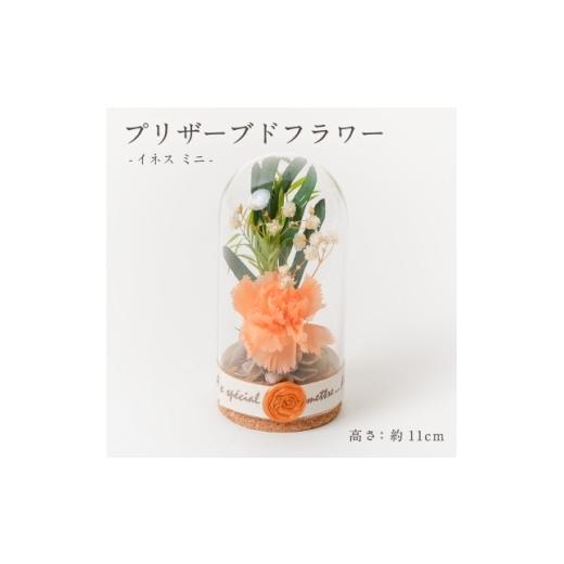 ふるさと納税 雑貨・日用品 花 岐阜県 羽島市 プリザーブドフラワー ガラスドーム型アレンジ イネス ミニ(オレンジ) 1748725