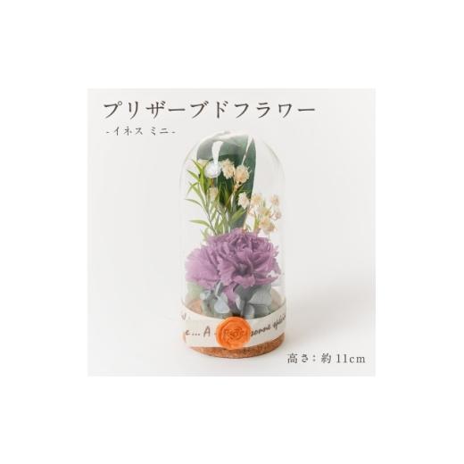 ふるさと納税 雑貨・日用品 花 岐阜県 羽島市 プリザーブドフラワー ガラスドーム型アレンジ イネス ミニ(パープル) 1748760
