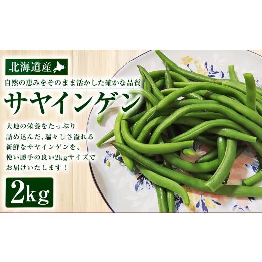ふるさと納税 野菜類 北海道 豊浦町 北海道産 サヤインゲン 2kg さやいんげん いんげん インゲン 野菜 やさい 新鮮 鮮度 取り寄せ 2026年7月下旬〜10月下旬発…