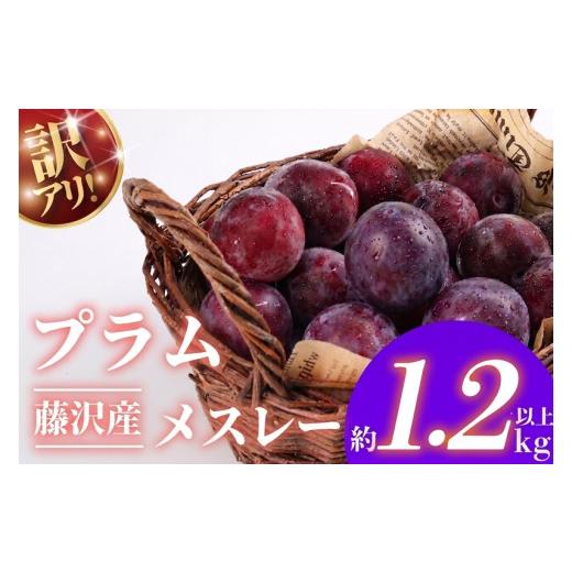 ふるさと納税 もも 神奈川県 藤沢市 チョイス限定 プラム すもも 約1.2kg 以上 期間限定 メスレー 詰め合わせ 訳あり 訳アリ わけあり 訳有 くだもの 果物 フ…