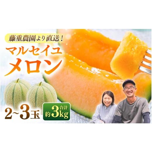 ふるさと納税 メロン メロン赤肉 福井県 あわら市 先行予約 藤重農園自慢のマルセイユメロン 2〜3玉(合計約3kg) 2027年6月中旬以降順次発送 aw083-a005