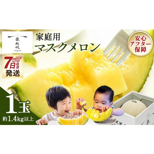 ふるさと納税 メロン メロン青肉 高知県 香南市 7日程度で発送 メロン 6月 も発送 訳あり 発送中 1玉 メロン 1個 ますくめろん 6月めろん 1玉 果物 くだもの …