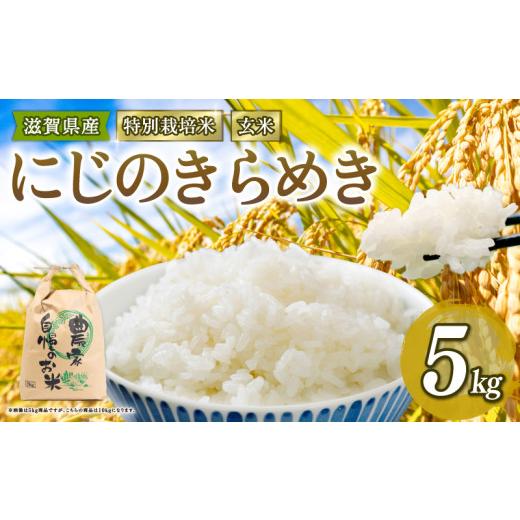 ふるさと納税 米 滋賀県 竜王町 新米予約 新米 令和8年産 にじのきらめき 5kg 玄米 特別栽培米 米 R8 年産 ニジノキラメキ 2026年産 国産 農家直送 環境こだ…