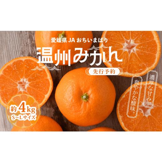 ふるさと納税 果物類 みかん 愛媛県 上島町 先行予約 瀬戸内の温州みかん4kg L〜S | みかん ミカン 温州ミカン 温州みかん 甘いみかん 愛媛みかん 果物 フル…