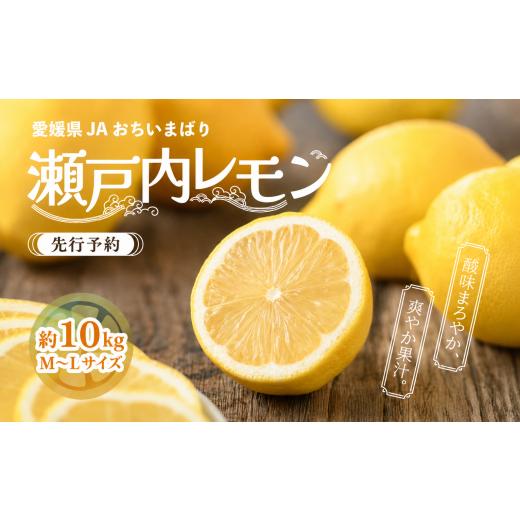 ふるさと納税 みかん・柑橘類 レモン 愛媛県 上島町 先行予約 瀬戸内レモン小箱 約10kg(M〜L) | れもん レモン 檸檬 lemon 完熟 柑橘 国産 愛媛県産 新鮮 瀬…