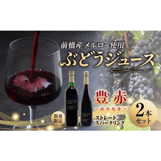 ふるさと納税 果汁飲料 ぶどう 群馬県 前橋市 ぶどうジュース 豊赤 (ホウセキ) ストレート + スパークリング 2本セット 数量限定 | ジュース ブドウジュース …