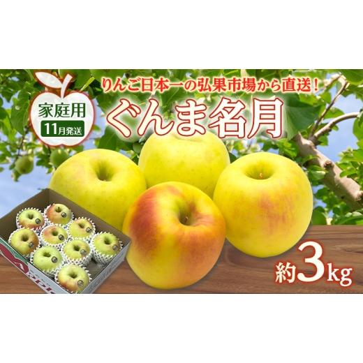 ふるさと納税 りんご 青森県 西目屋村 りんご 11月発送 家庭用 ぐんま名月 約 3kg リンゴ 林檎 青森りんご 糖度 13度 甘い 酸味 デザート フルーツ 果物 お取…
