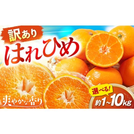 ふるさと納税 果物類 みかん 愛媛県 砥部町 みかん 訳あり はれひめ 約10kg サイズ不揃い 12月上旬から翌年1月上旬まで順次発送 / フルーツ 果物 蜜柑 ミカン…