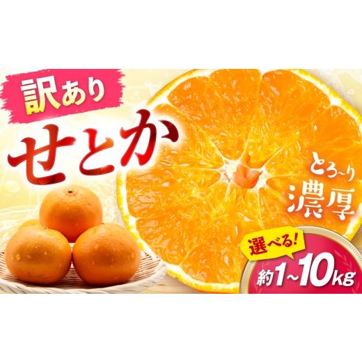 ふるさと納税 果物類 みかん 愛媛県 砥部町 みかん 訳あり せとか 約1kg サイズ不揃い 2月下旬から3月下旬まで順次発送 / フルーツ 果物 蜜柑 ミカン オレン…