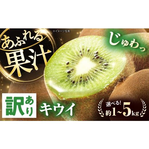 ふるさと納税 果物類 愛媛県 砥部町 キウイ 訳あり キウイフルーツ ヘイワード サイズ不揃い 約1kg 10個前後 / フルーツ 果物 キウイフルーツ キウイ キュー…
