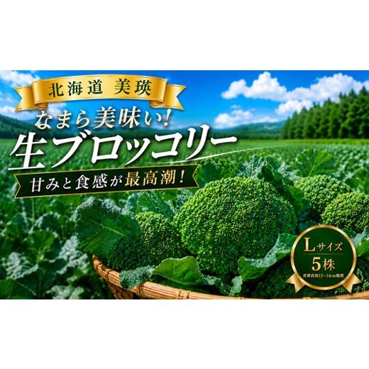 ふるさと納税 野菜類 北海道 美瑛町 令和8年産 ブロッコリー 5株 Lサイズ 美瑛産 舟山農園 | ブロッコリー 北海道 美瑛町産 美瑛町 美瑛 びえい 新鮮 フレッ…