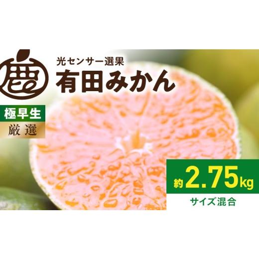 ふるさと納税 果物類 みかん 和歌山県 湯浅町 [2026年9月下旬〜11月中旬頃に順次発送] 2026年先行予約 厳選 極早生有田みかん約2.5kg+250g(傷み補償分)ゆ…
