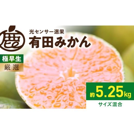 ふるさと納税 果物類 みかん 和歌山県 湯浅町 [2026年9月下旬〜11月中旬頃に順次発送] 2026年先行予約 厳選 極早生有田みかん約5kg+250g(傷み補償分)ゆら…