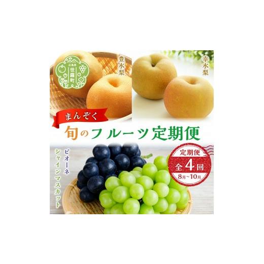 ふるさと納税 果物の詰合せ 広島県 世羅町 ふるさと納税 まんぞく旬のフルーツ定期便[8月-10月 合計4回発送] 数量限定 くだもの フルーツ 果物 葡萄 ぶどう…