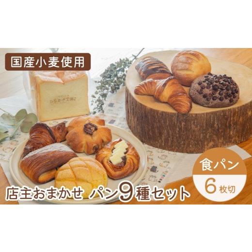 ふるさと納税 パン 菓子パン 高知県 東洋町 店主おまかせパンの詰め合わせセット9種 パンセット(食パン6枚切り) 食パン6枚切り