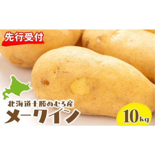 ふるさと納税 野菜類 じゃがいも 北海道 芽室町 先行予約 2026年10月1日頃から発送 北海道十勝芽室町 十勝めむろ産 メークイン 10kg me089-003c