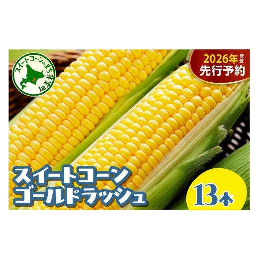 ふるさと納税 とうもろこし 北海道 芽室町 先行予約 2026年8月5日頃から発送 北海道十勝芽室町 十勝めむろ産 とうもろこし ゴールドラッシュ 13本 me089-001…