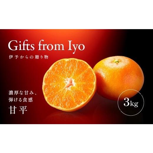 ふるさと納税 みかん・柑橘類 愛媛県 伊予市 2027年先行予約 甘平 みかん 愛媛 約3kg M〜3Lサイズ混合 数量限定 先行予約 柑橘 伊予市 2月上旬から順次発送予…