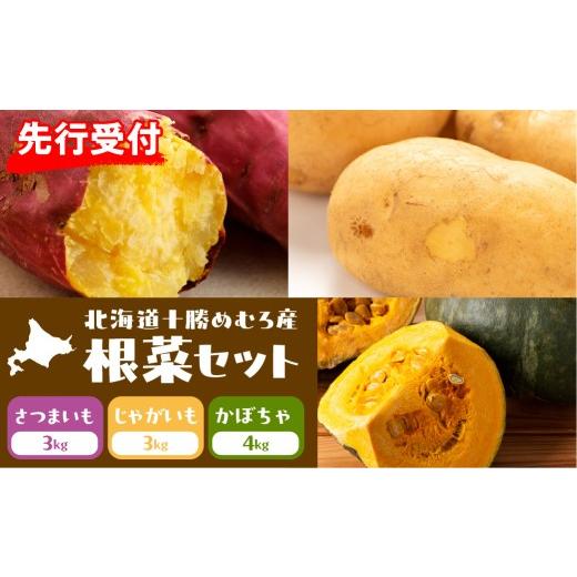 ふるさと納税 セット・詰合せ 北海道 芽室町 先行受付 2026年10月20日頃から発送 北海道十勝芽室町 十勝めむろ産 メークイン さつまいも かぼちゃセット 10kg…