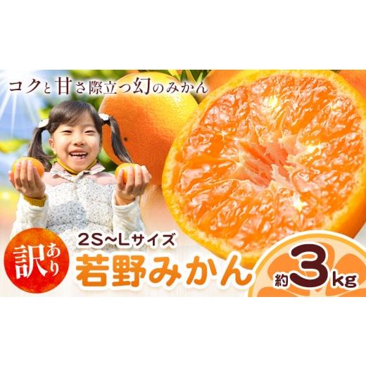 ふるさと納税 果物類 みかん 和歌山県 日高川町 和歌山県産 訳あり 若野みかん (2S〜Lサイズ) みかん 約3kg[11月下旬-12月下旬頃出荷] マルエイ農園 和歌山…