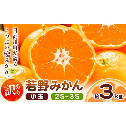 ふるさと納税 果物類 みかん 和歌山県 日高川町 和歌山県産 訳あり 小玉若野みかん (2S-3Sサイズ) みかん 小玉 約3kg[11月下旬-12月下旬頃出荷] マルエイ農…
