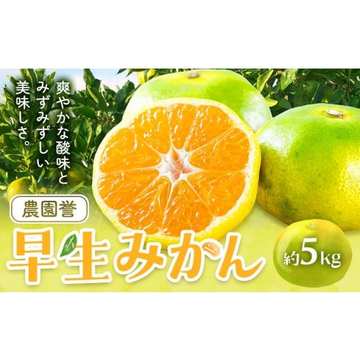 ふるさと納税 果物類 みかん 和歌山県 日高川町 早生みかん 約5kg 農園誉[10月上旬-11月下旬頃出荷] 和歌山県 日高川町 早生 みかん ミカン フルーツ 果物 …