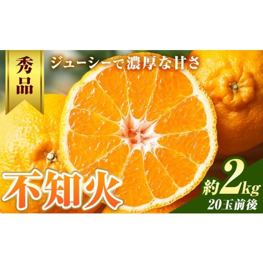 ふるさと納税 みかん・柑橘類 和歌山県 日高川町 不知火 秀品 約2kg 20玉前後 農園誉[2027年2月上旬-2月下旬頃出荷] 和歌山県 日高川町 不知火 みかん ミカ…
